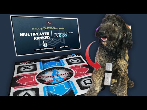 I Taught My Dog to Play Ranked R6