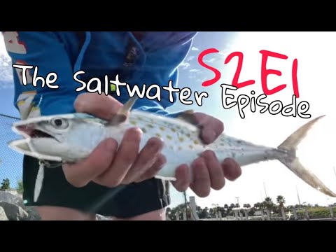 Femboy Fishing S2E1 - The SALTWATER EPISODE