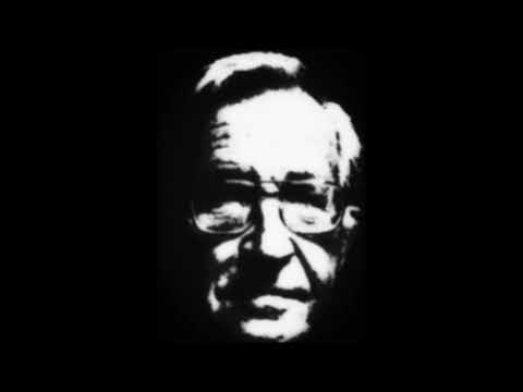 Noam Chomsky - Gross Domestic Product