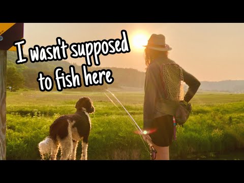 The Accidental Fishing Trip 