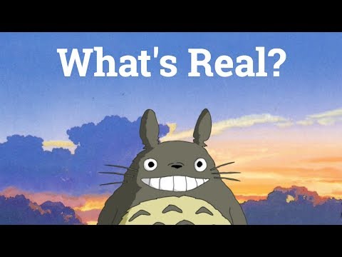 My Neighbor Totoro: What's Real? 