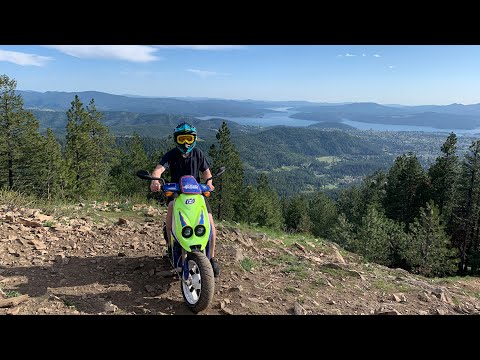 Moped Gon’ Wild/Off-road