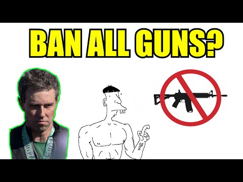 Should We Ban All Guns? 