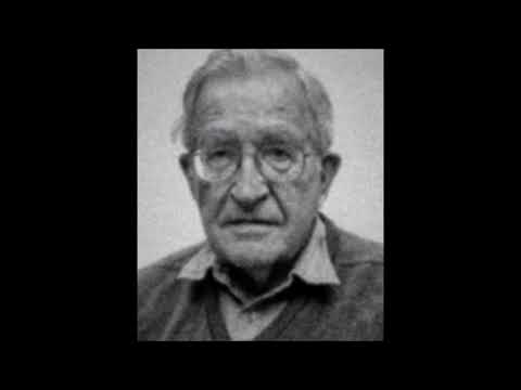 Noam Chomsky on DiEM25