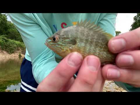 Femboy Fishing Episode 13 - VERY AGGRESSIVE FISH