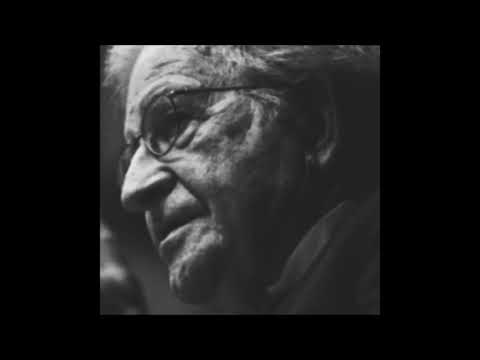 Noam Chomsky - Intelligible Concepts vs. Intelligible Theories