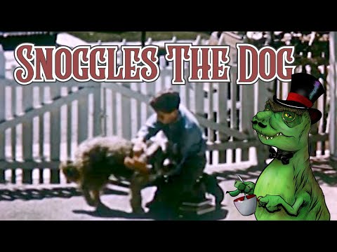Snoggles The Dog #dinosaurdinnertheatre #mst3k #mysterysciencetheatre3000  #adultswim  #vintagefilms