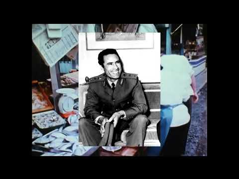 Socialism is just better, scientifically -- Hakim reupload