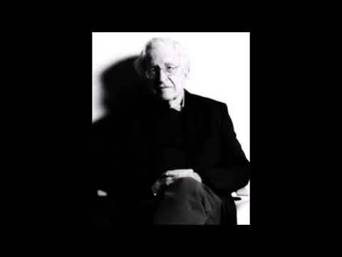 Noam Chomsky - Which Questions Influenced You the Most?