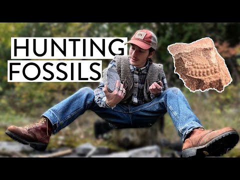 The Chazy Fossil Reef: 480,000,000 Years of History in 41 Mins