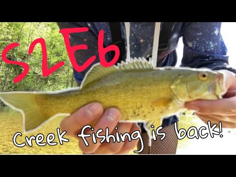 Femboy Fishing S2E6 - Creek Fishing is BACK