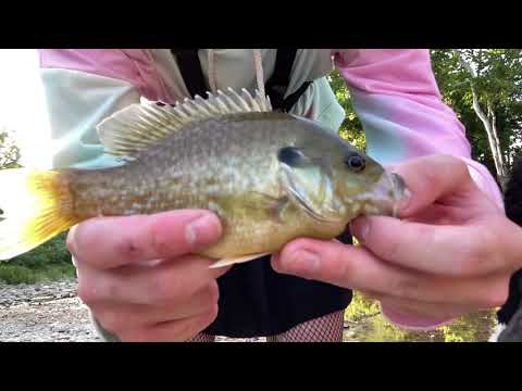 Femboy Fishing Episode 15 - Catching a FISH?!! (Not Clickbait!!)
