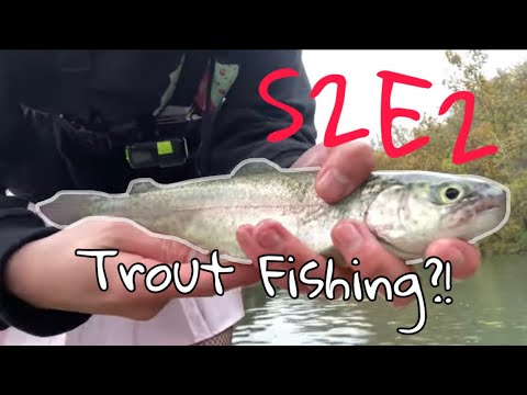 Femboy Fishing S2E2 - TROUT FISHING?!