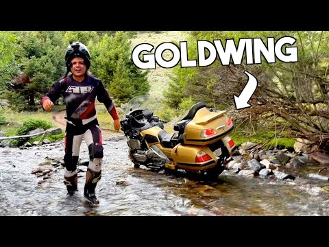 Riding my GOLDWING OFF ROAD