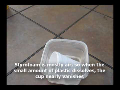 The Vanishing Cup Trick!