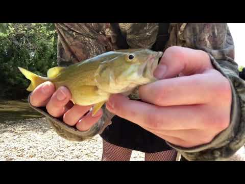 Femboy Fishing Episode 14 - The FLY FISHING Episode
