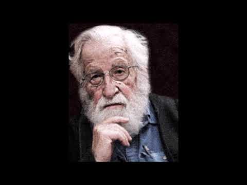 Noam Chomsky on the Harper's Letter and Cancel Culture