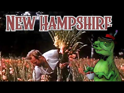 New Hampshire #dinosaurdinnertheatre #mst3k #mysterysciencetheatre3000 #rifftrax  #newhampshire