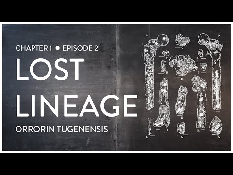 Lost Lineage: Orrorin tugenensis (Feat. Lindsay Nikole)