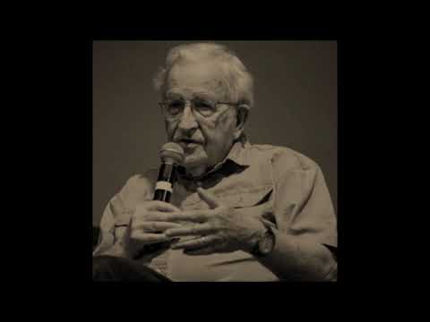 Noam Chomsky on Aaron Swartz and Freedom of Information