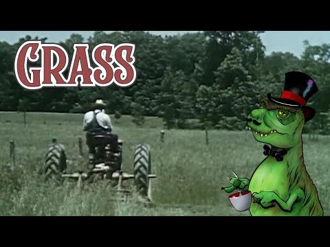 Grass