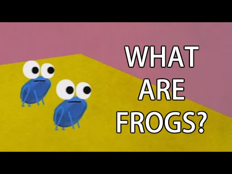 Is TED-Ed's Frog Riddle Wrong?