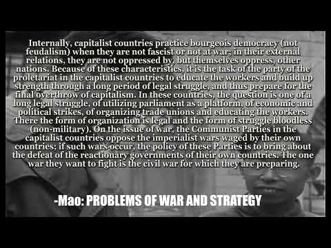 A Critique of Third Worldism and First World Revolutionary Strategies (Tovarishch Endymion reupload)