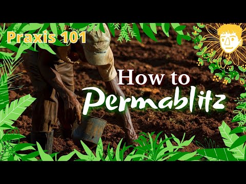 A Quick Guide to Permablitzing