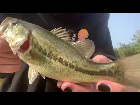 Femboy Fishing Episode 10 - GOTH FEMBOY FISHING?!