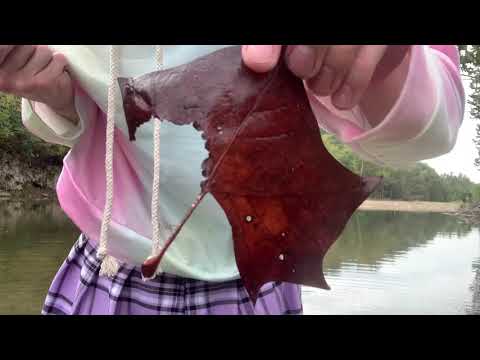 Femboy Fishing Episode 9 - ALMOST CAUGHT NOTHING... AGAIN