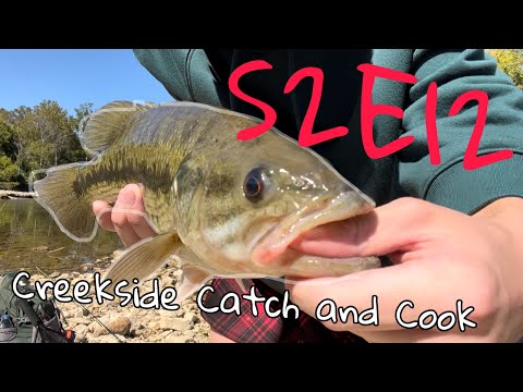 Femboy Fishing S2E12 - Creekside Catch and Cook?!