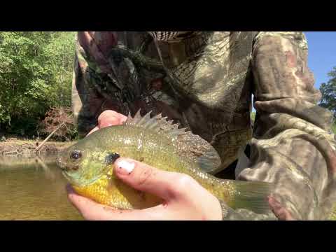 Femboy Fishing Episode 5 - The Sunfish is DUMMY THICC