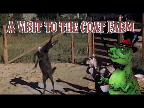 Dinosaur Dinner Theatre - A Visit To The Goat Farm