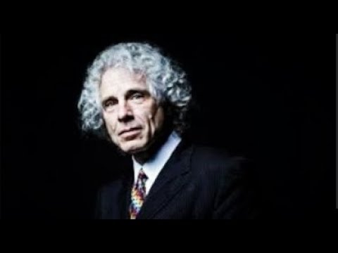 Noam Chomsky on Steven Pinker