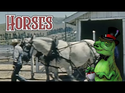 Horses #dinosaurdinnertheatre #mst3k #mysterysciencetheatre3000 #rifftrax  #horses #horselover