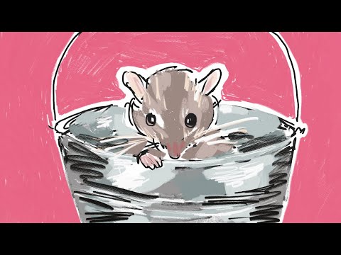 You Are Into Mousetrap YouTube