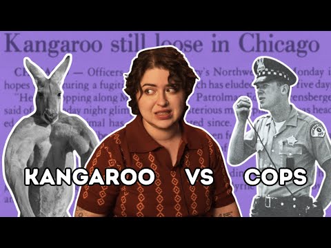 The Phantom Kangaroo of 1974: An Unsolved Mystery