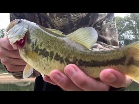 Femboy Fishing Episode 8 - Catching HUGE BASS with WEIRD lures