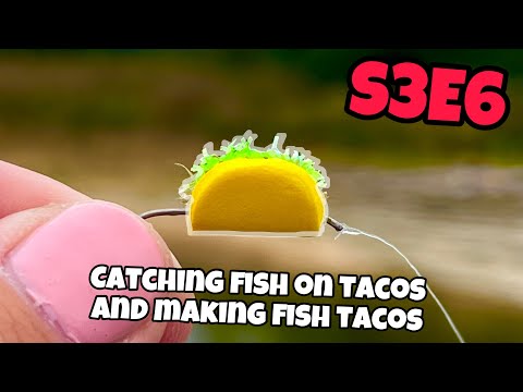 Catching Fish on Tacos and Making Fish Tacos - Femboy Fishing S3E6